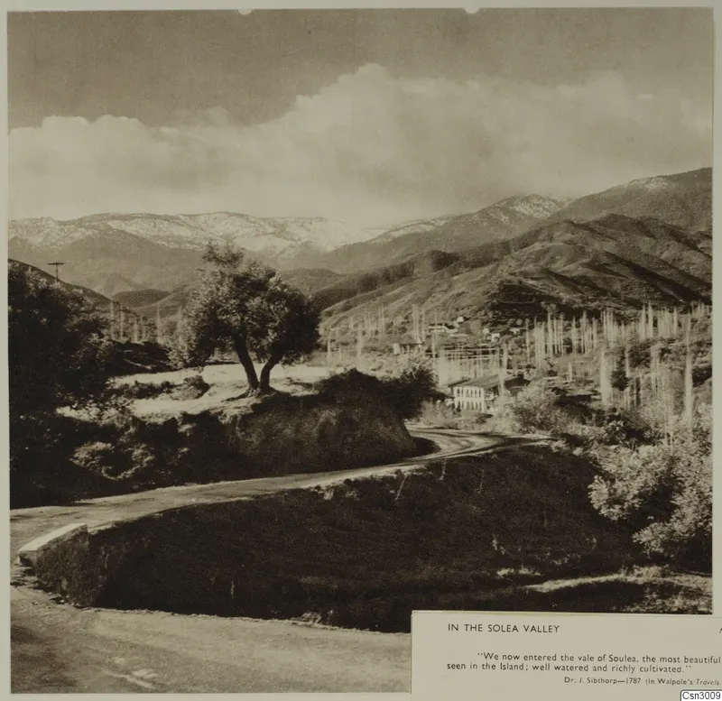 Winding road through a mountain valley, with a lone two-trunked tree, snowy peaks and a cluster of buildings