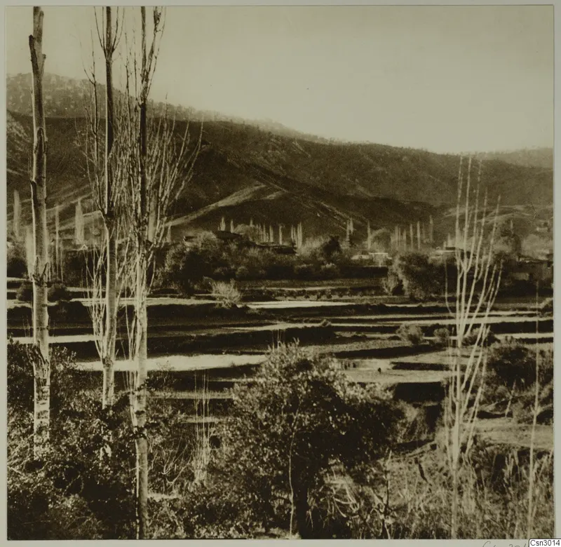 Mountain slopes above terraced fields, bushes and tall bare trees in the foreground, Machairas