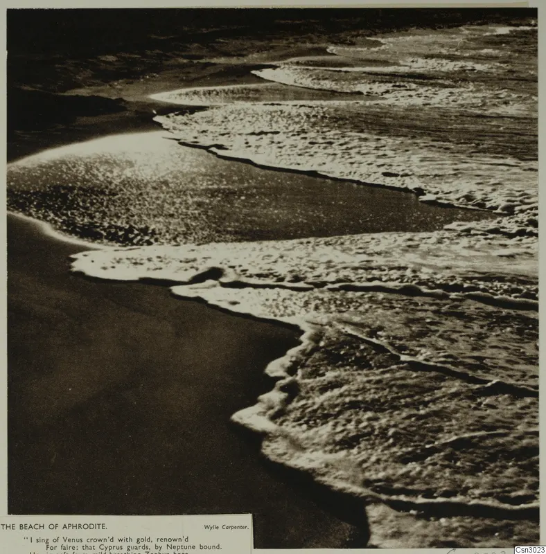 Waves breaking in white foam over dark wet sand on a beach, printed as a plate titled The beach of Aphrodite.