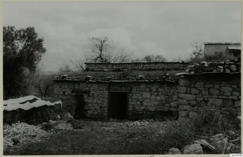 Stone building with a grass-covered flat roof and a doorway, beside a tree, in the Paphos area