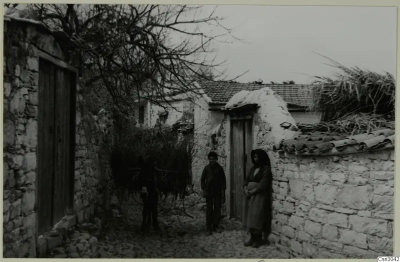 Boy and woman standing in a stone-walled village lane at Paphos, beside a whitewashed building and a bare tree