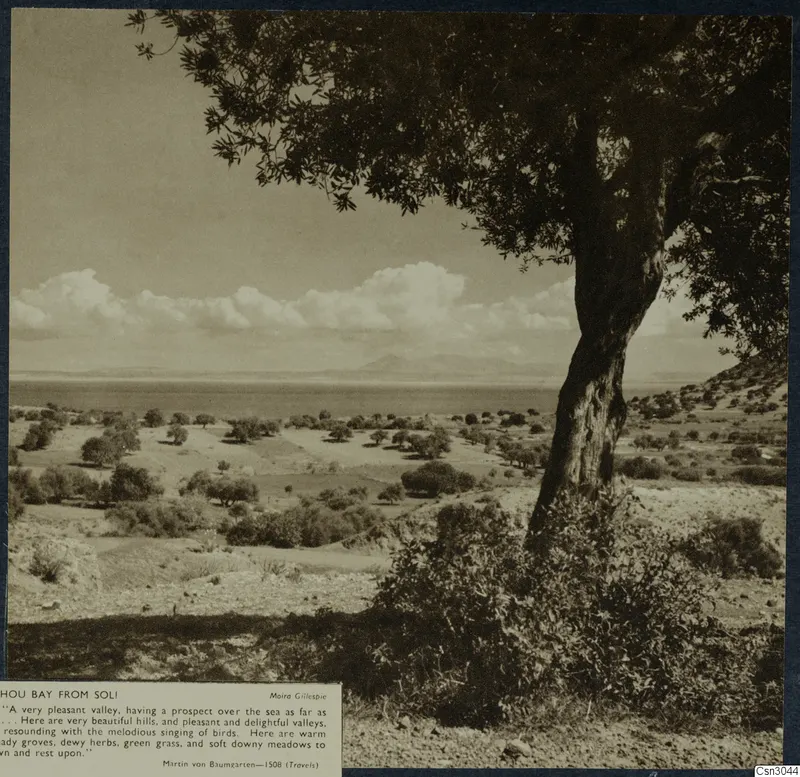 Hillside view over a bay from Soli, with a large tree in the foreground, low hills across the water and clouds above