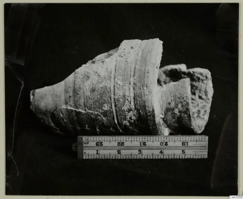 Fragments of a clay pipe found in an ancient working, photographed beside a folding ruler
