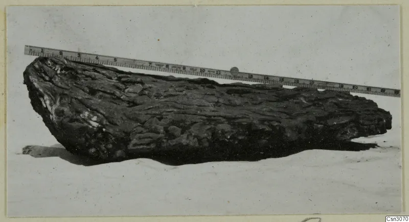 Rough dark lump lying on a pale surface, with a numbered ruler laid across the top of the picture