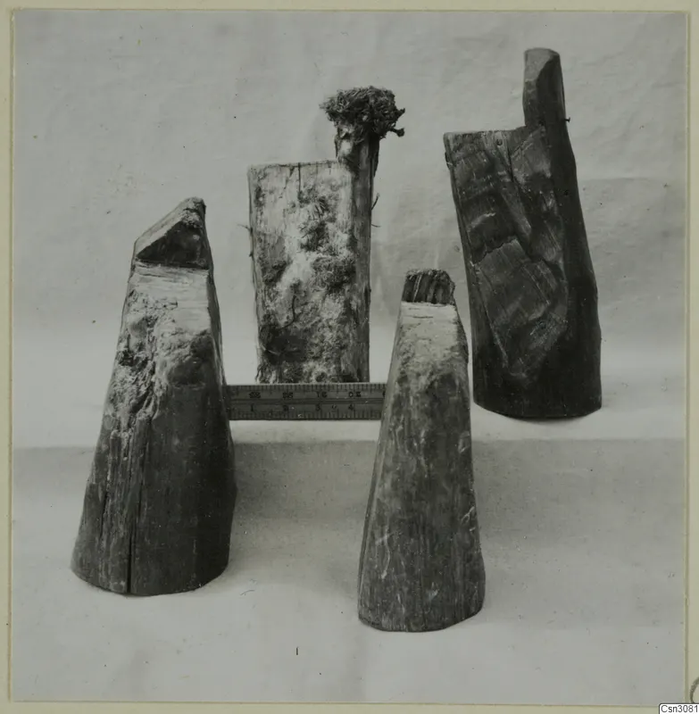 Four weathered wooden pieces standing on a light cloth, with a ruler laid between them.