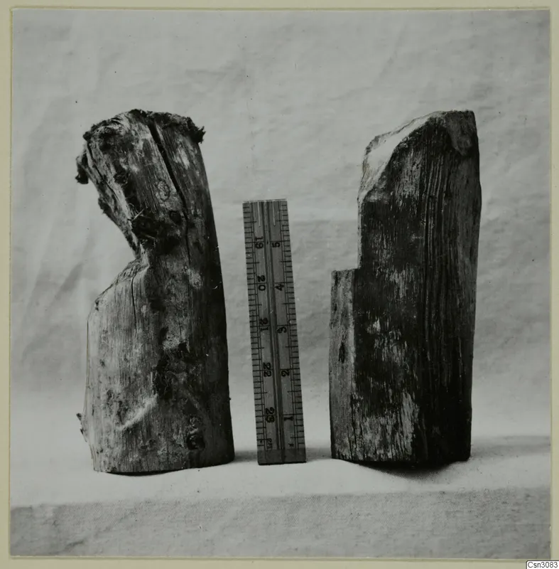 Two pieces of ancient timber side by side, used on the left and unused on the right, with a ruler between them.