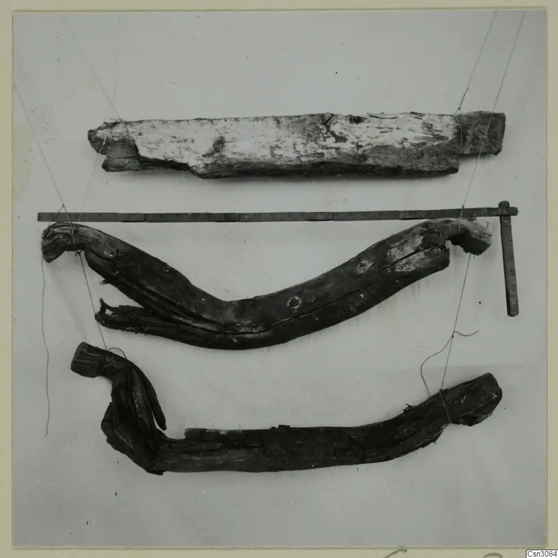 Three pieces of ancient timber, bent and distorted, laid out on a pale cloth with a measuring rod above them.