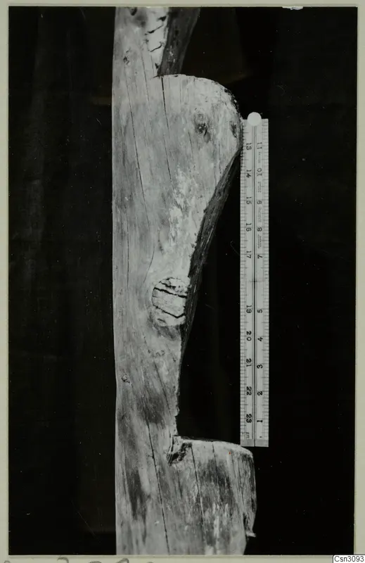 Detail of an ancient wooden ladder piece with a notch, photographed beside a ruler for scale.