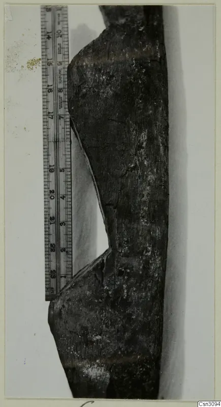Dark wooden object with a curved notch, photographed beside a metal measuring rule, from the Cypriote Mining group
