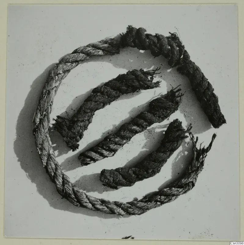 Fragments of ancient rope arranged on a pale surface, several pieces forming a loose circle.
