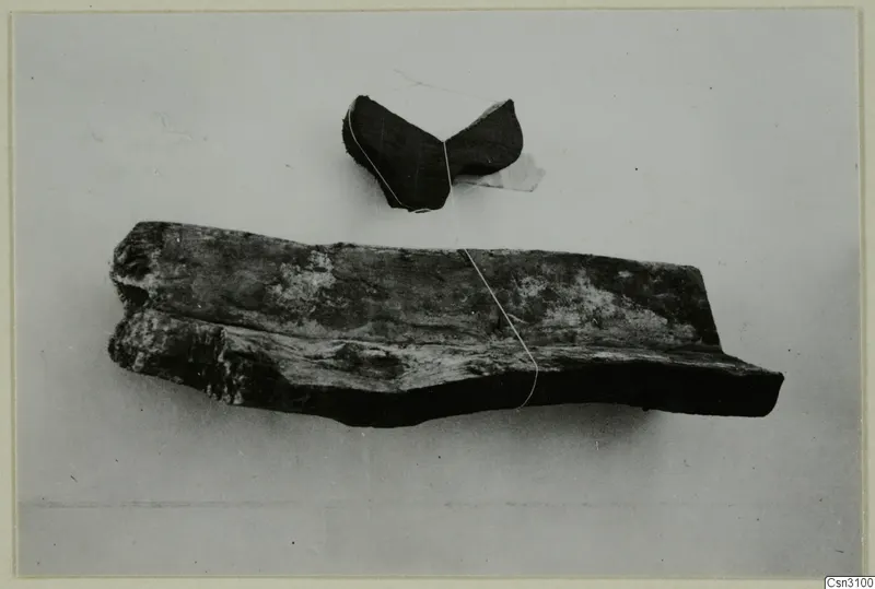 Wooden find from Cypriote mining: a V-shaped trough piece above a weathered wooden plank, on a pale background