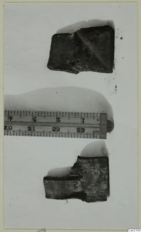 Two dark wooden fragments photographed with a ruler laid between them on a pale background