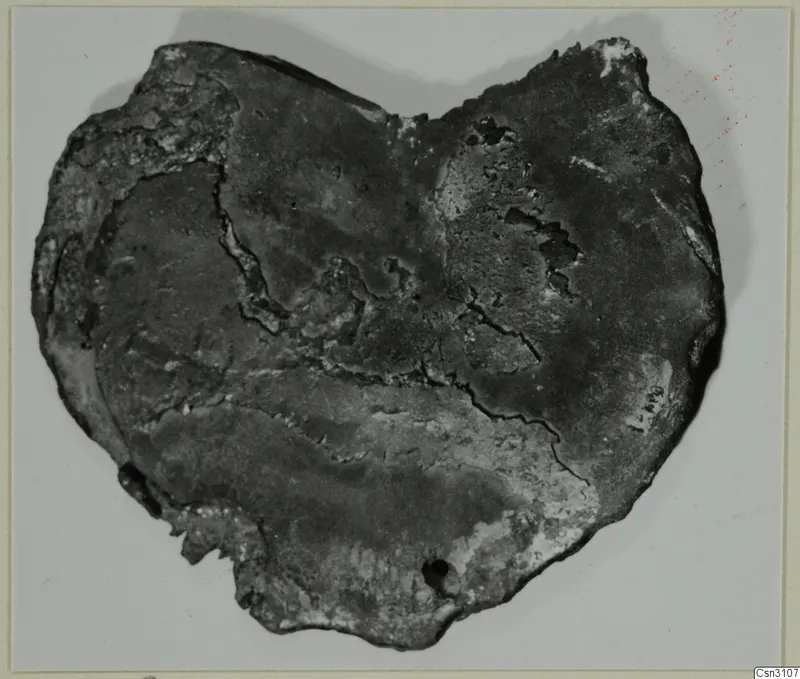 Flat, heart-shaped object with a dark, cracked and crusted surface, photographed against a pale background