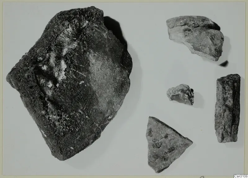 Five fragments of stone or pottery with dark slag accretions, photographed on a pale background.