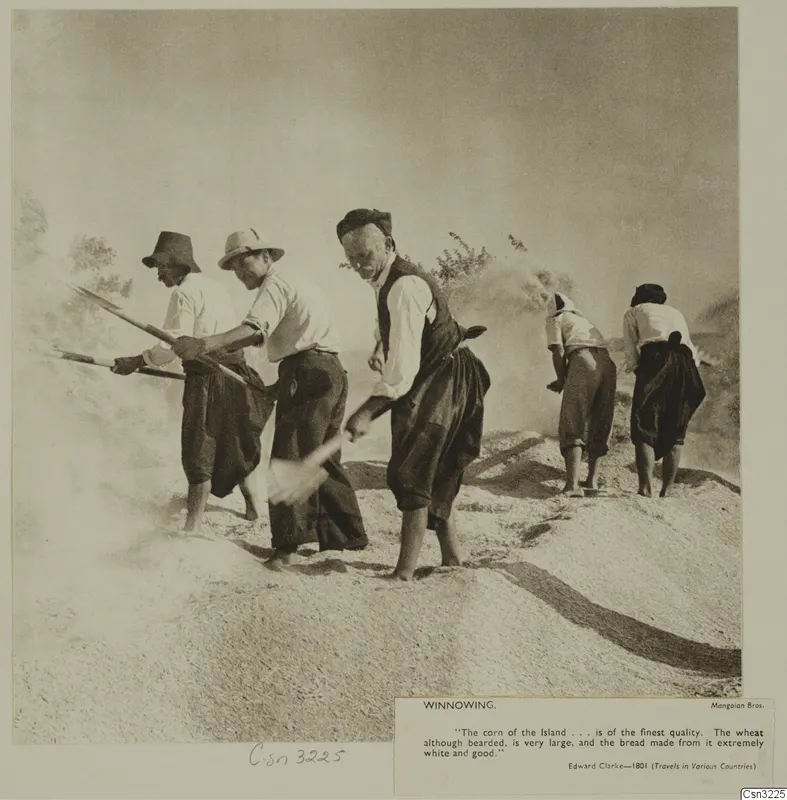 Five men winnowing grain with long wooden forks on a threshing floor, with chaff and dust drifting in the air.