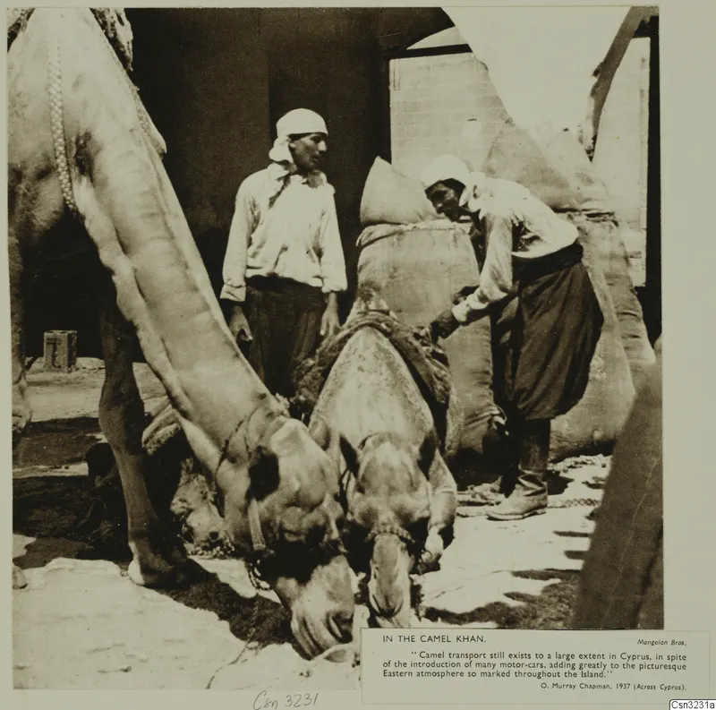 Two camels with lowered heads in a khan yard, with two men beside them and sacks piled behind