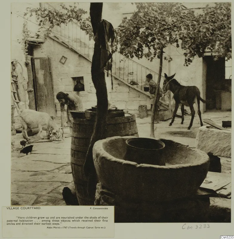 Village courtyard with a donkey, an animal at a container, people and stone stairs along a wall