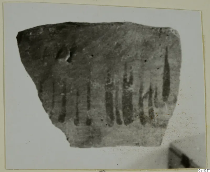Pottery sherd with dark vertical painted strokes, photographed on a pale card mount