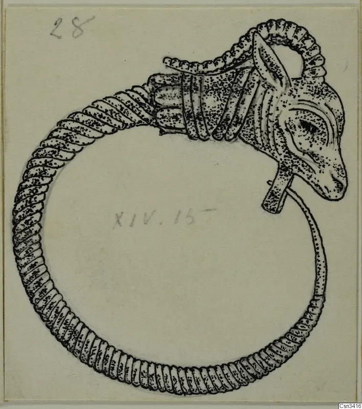 Pen drawing of a gold hoop ring ending in an animal head with a curled horn