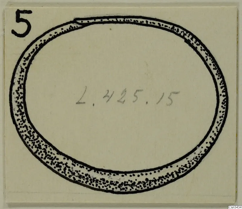 Drawing of a ring with dotted shading on a cream card, with a number label in the top left corner