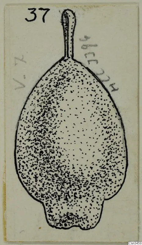 Field drawing of a gold pendant with a loop at the top, its body shaded with dense stippling.