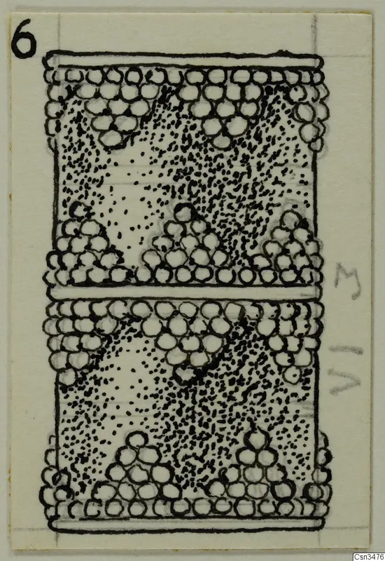 Ink drawing of a cylindrical object with beaded bands at top and bottom and a stippled centre, in two stacked sections