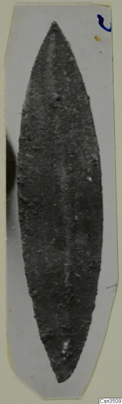 Corroded metal leaf-shaped object photographed on a pale card mount