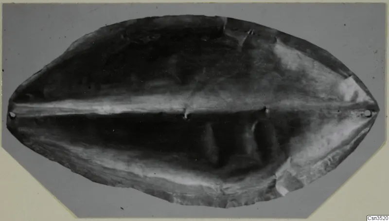 Oval piece of jewellery with a raised central ridge and a small hole near each pointed end