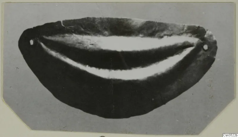 Crescent-shaped piece of jewellery with a small hole near each end, photographed on a grey card.