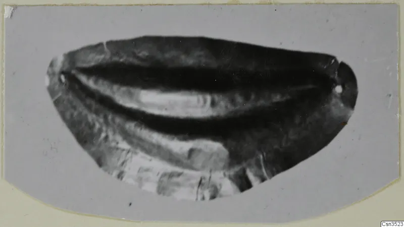 Gold jewellery piece: a curved, crescent-shaped object with a small hole at each end.