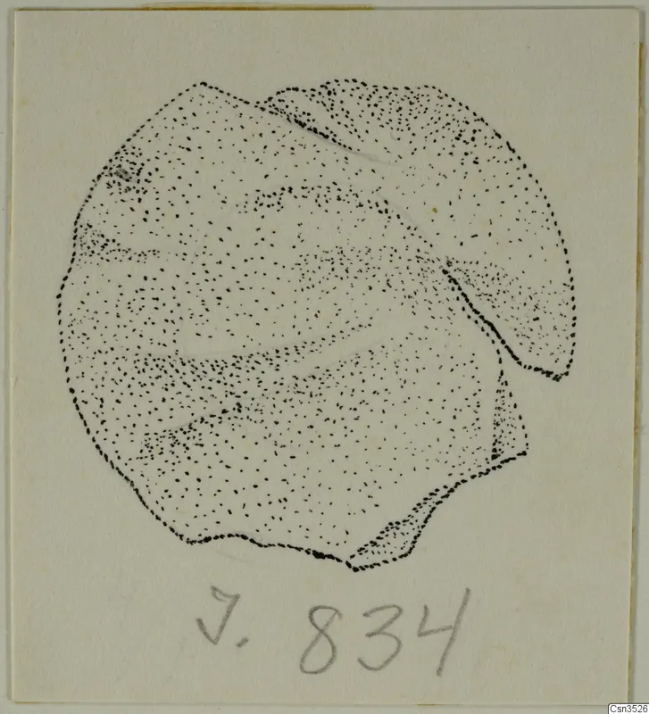 Stippled drawing of an irregular, rounded object, possibly a jewellery fragment, on a pale card.