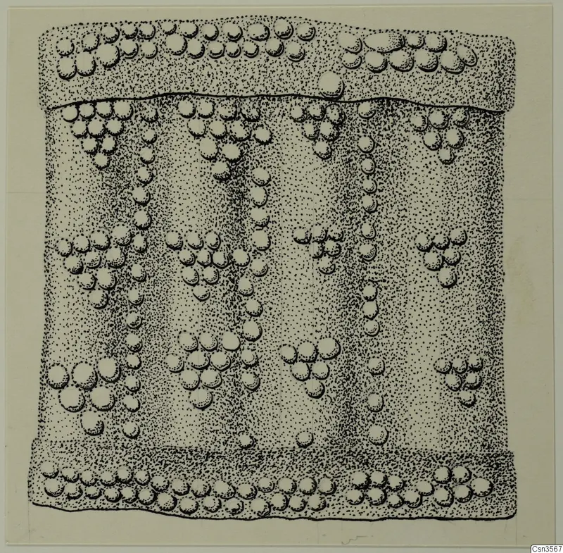 Ink drawing of a gold and silver object with rows of raised round studs over a stippled ground.
