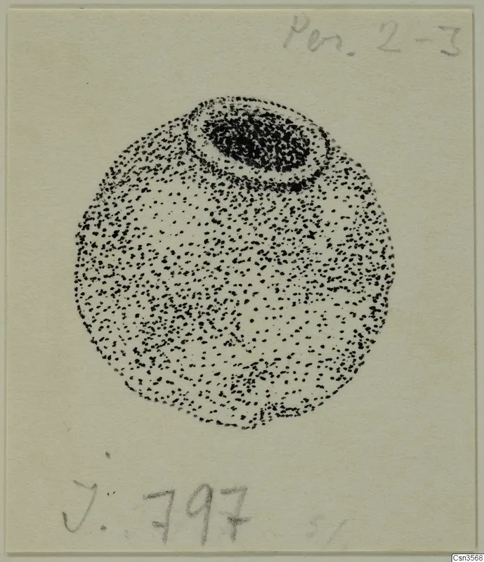 Stippled ink drawing of a round object with a dark circular opening at the top.