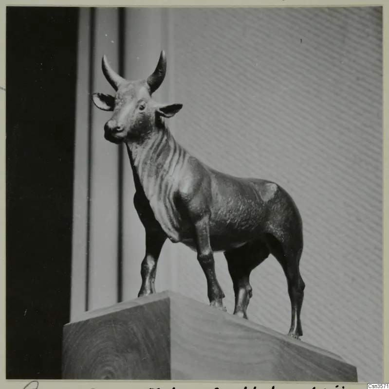 Bronze figure of a standing bull on a wooden plinth