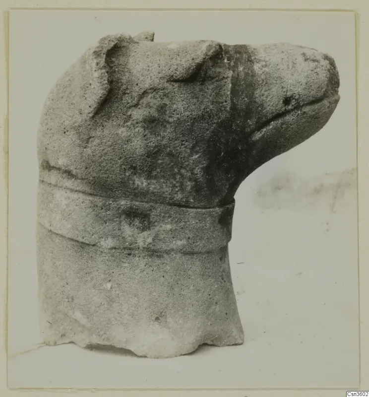 Carved limestone animal head with a raised band around the neck, a minor plastic find