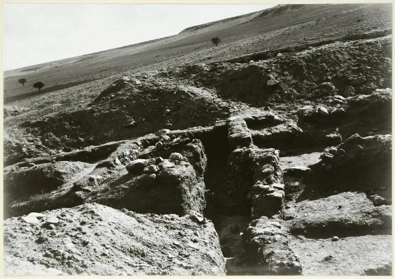 Excavated trenches with exposed stone walls on a dry hillside, with a few small trees in the background.
