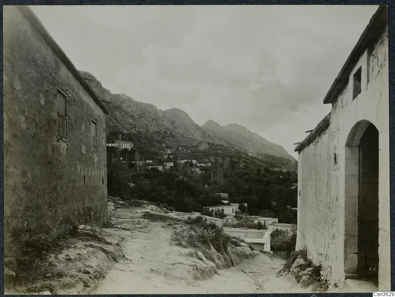 Rocky village street in Lapithos with whitewashed buildings, trees and mountains rising behind