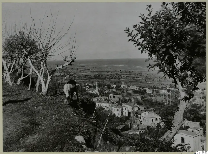 Lapithos seen from a hillside, with a grazing animal, bare and leafy trees, houses below and the sea beyond
