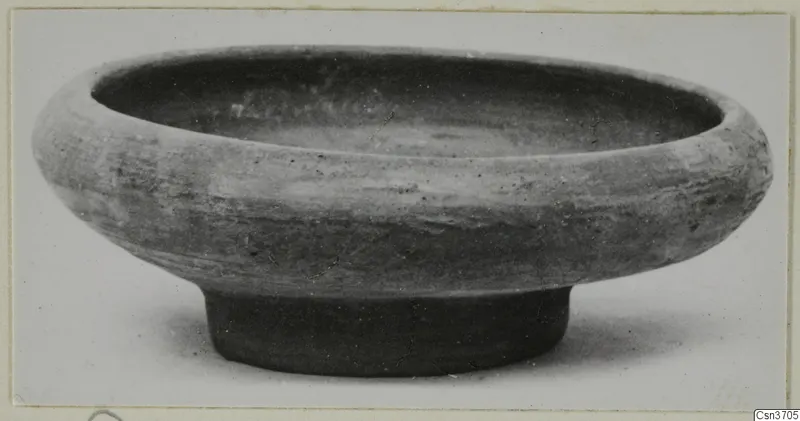 Pottery Stroke Polished Ware bowl with a wide rim and low ring base, shown from the side