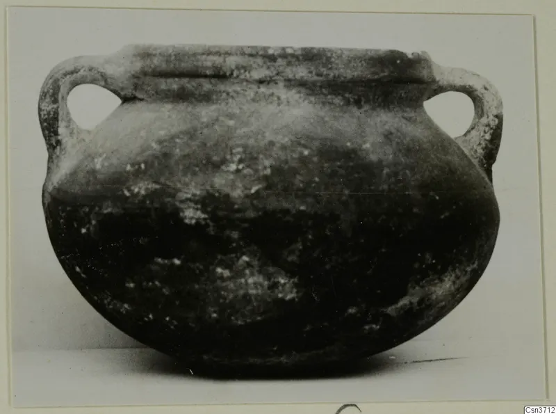 Coarse ware pot with a wide, rounded body and two loop handles, seen from the side