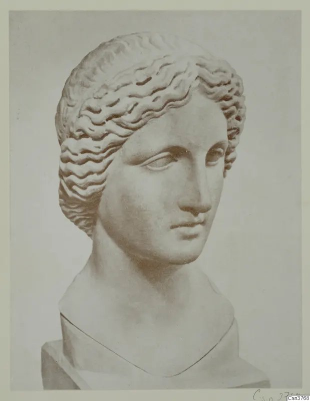 Head and bust of a female statue carved in stone, with wavy hair drawn back from the face