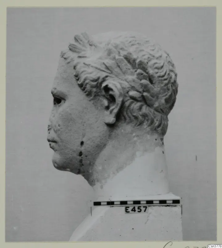 Sculpted stone head and upper bust in left profile, with curly hair, shown beside a scale bar
