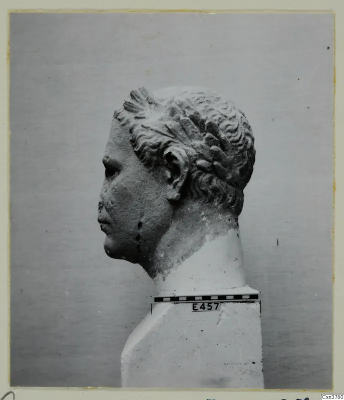 Roman stone head in profile with curled hair, with a scale bar and number label on its base