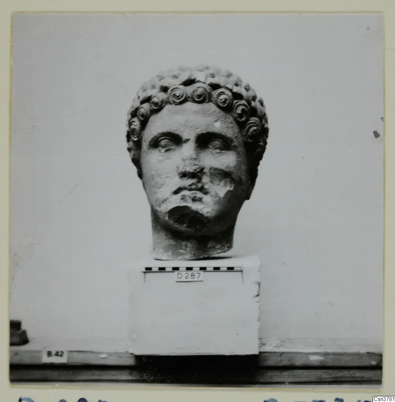 Stone head with rows of curled hair, set on a plain square block with a scale bar