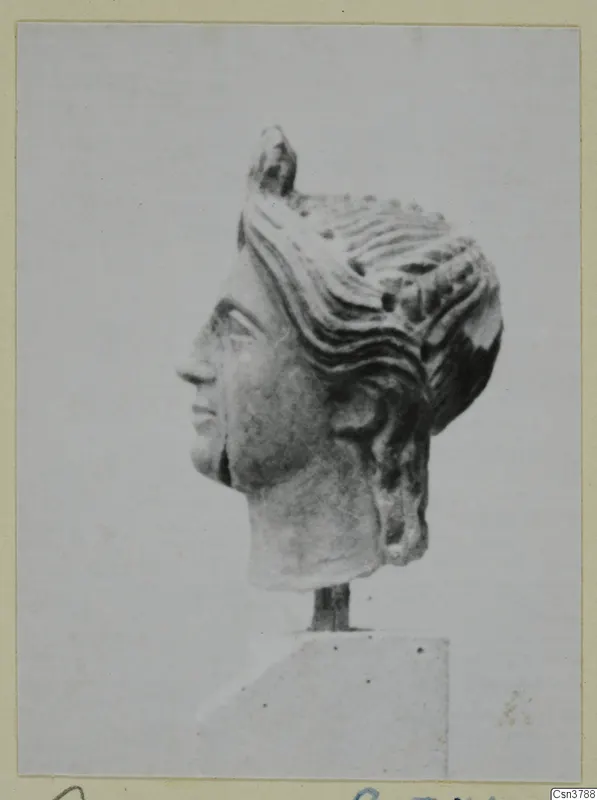 Stone head in profile with wavy hair drawn back to a knot at the crown, mounted on a block base