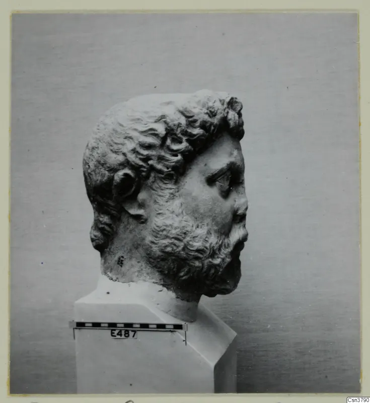 Carved stone head of a bearded man in profile, set on a white plinth