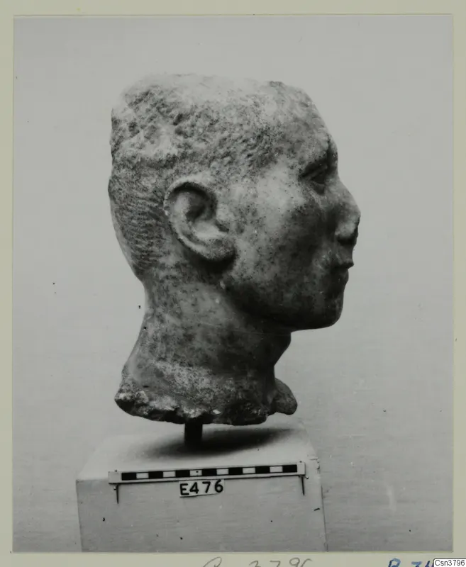 Stone head in profile facing right, with short hair and an ear, on a square stand beside a scale bar and number label