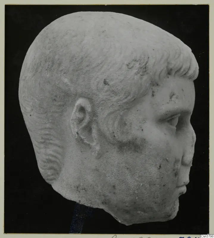 Roman stone sculpture: head of a man with short curled hair, face turned to the right
