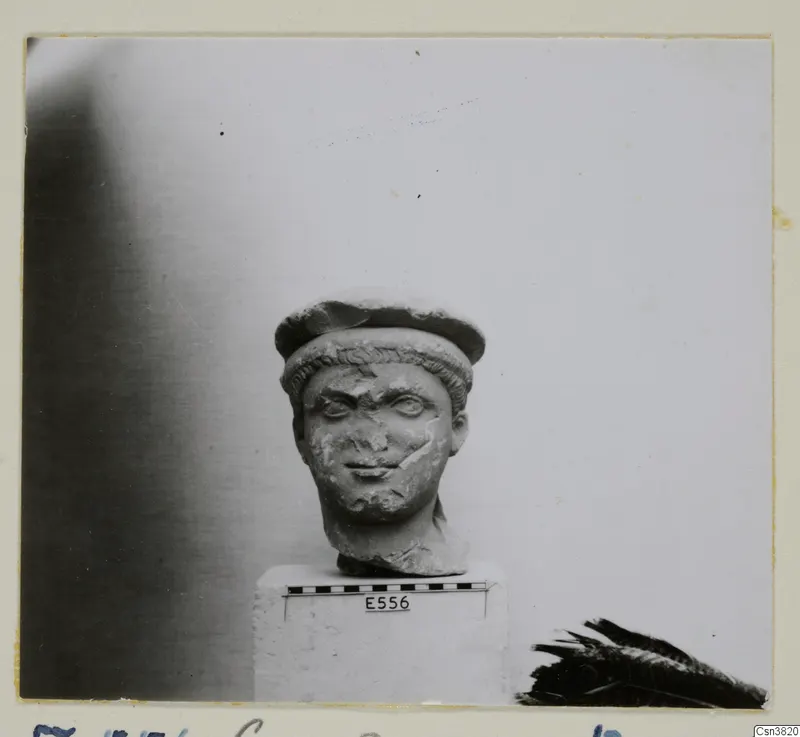 Stone statue head with a cap-like headdress over short curled hair, set on a white plinth