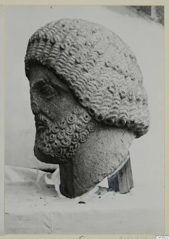 Carved stone male head with curly hair and beard, shown in side view against a pale backdrop.